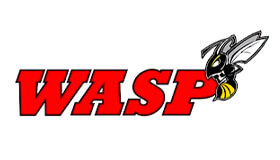 Wasp