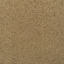Molded Floor Carpet - RV1 SV1 AP5 AP6 VC