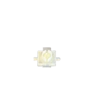 Body Molding Trim Clip