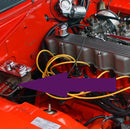 Master Cylinder Brake Light Switch Harness Plug Suits VE-VH