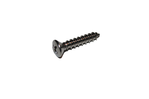 Stainless Countersunk Taping Screw :