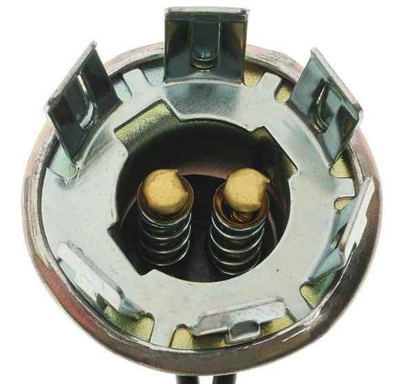 Dual Filament Tail Light Globe Socket