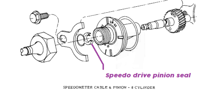 Speedometer Drive Pinion Seal - 904 & 727