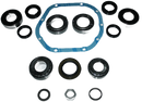 Differential Rebuild Kit : RV1 SV1