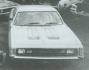 Image 2: Hood Stripe Kit : VH/VJ/VK Valiant Charger - Decals
