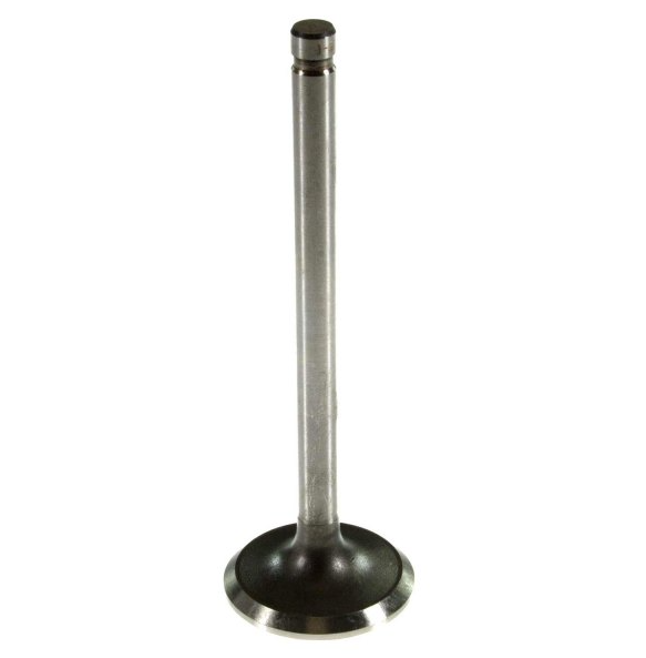 Intake Valve -  Suits Slant 6 (225)