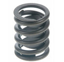 "Sealed Power" Dual Valve Spring E49/E55 Spec - Engine